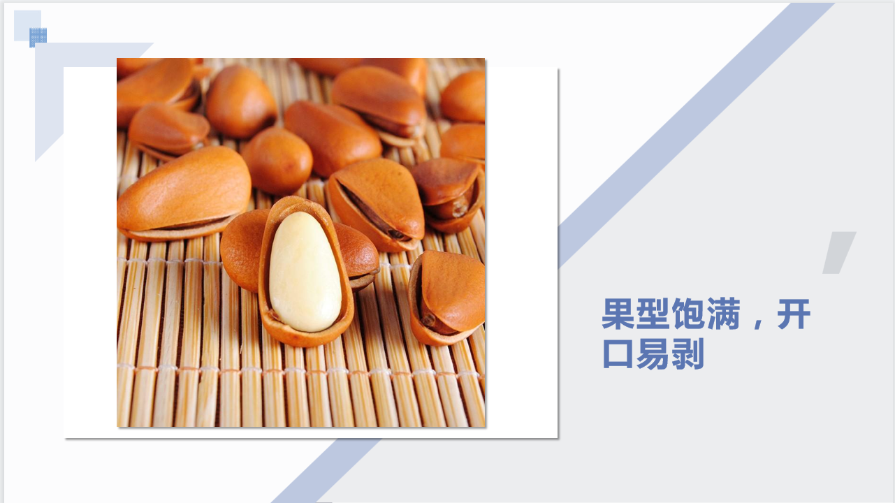 開(kāi)口松子(zǐ) (1)