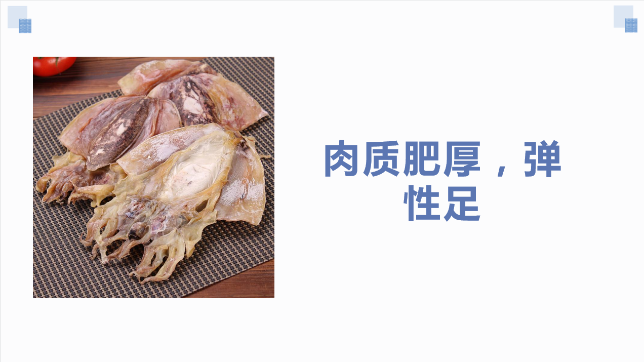 墨魚2